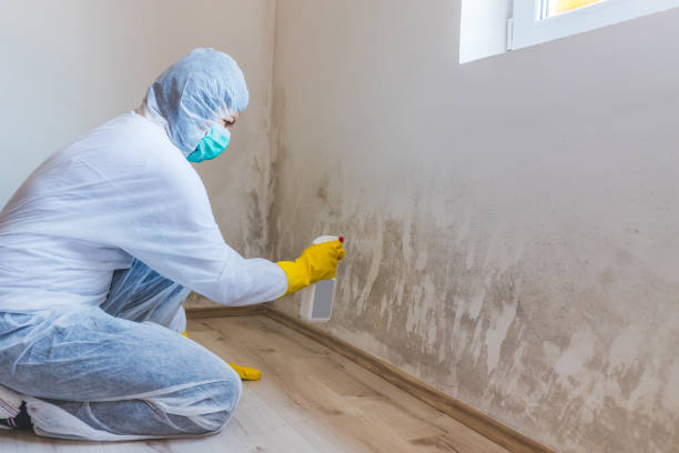 Best Attic Mold Removal  in Cera, AL